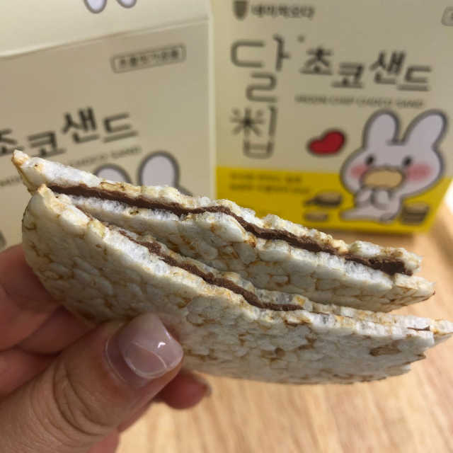 달칩 초코샌드 리뷰 사진