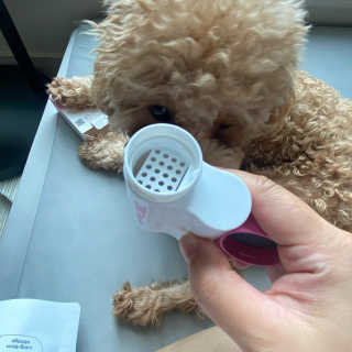 쪼꼬미님이 올린 리뷰 사진 4