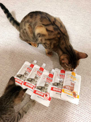화니님이 올린 리뷰 사진 3