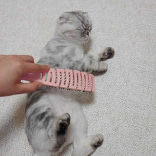 유햐님이 올린 리뷰 사진 2
