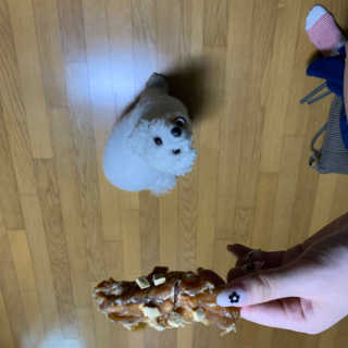 리뷰라뷰뷰님이 올린 리뷰 사진 3
