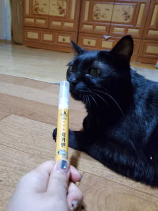미니유님이 올린 리뷰 사진 3