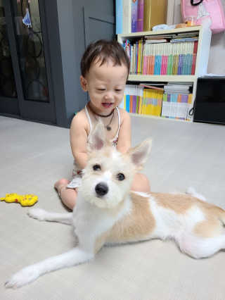 애봉이님이 올린 리뷰 사진 2