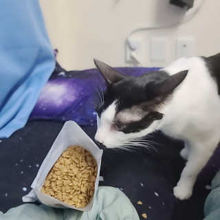 은지님이 올린 리뷰 사진 2