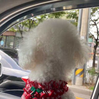 뽀송맘님이 올린 리뷰 사진 3