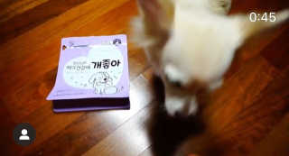 My Pet Care 천연단백질 치아건강에 개좋아 — 5점을 준 리뷰어가 2020년 12월 올린 사용 사진