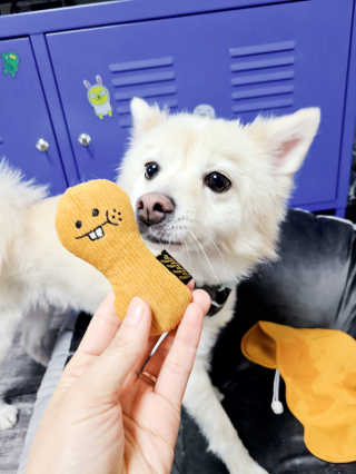 코코민네님이 올린 리뷰 사진 3
