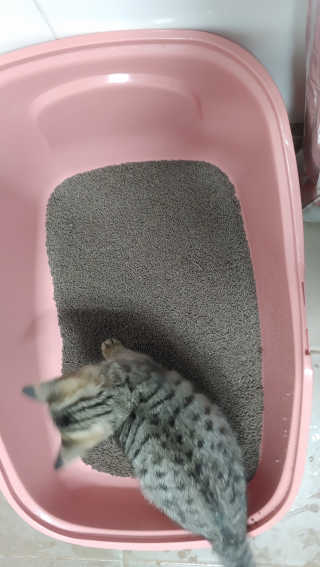 리나님이 올린 리뷰 사진 1