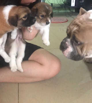 ChingAnosMaala님이 올린 리뷰 사진 3