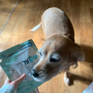 My Pet Care 천연단백질 눈건강에 개좋아 — 4점을 준 리뷰어가 2020년 11월 올린 사용 사진