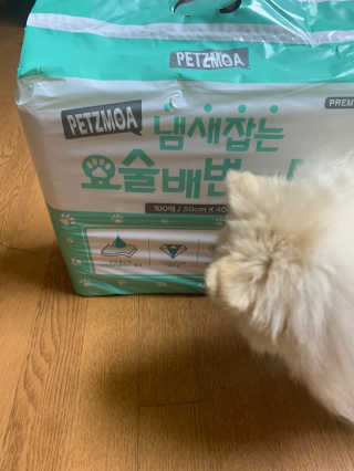 별이빛나길님이 올린 리뷰 사진 1