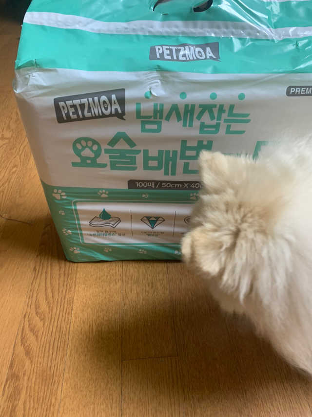 페츠모아 냄새잡는 요술배변패드 리뷰 사진