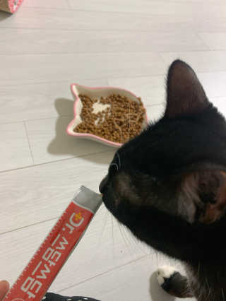 랑이님이 올린 리뷰 사진 2