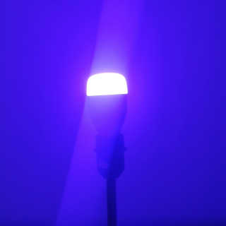 Sunny님이 올린 리뷰 사진 4