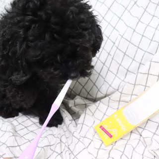 우와한언니님이 올린 리뷰 사진 3