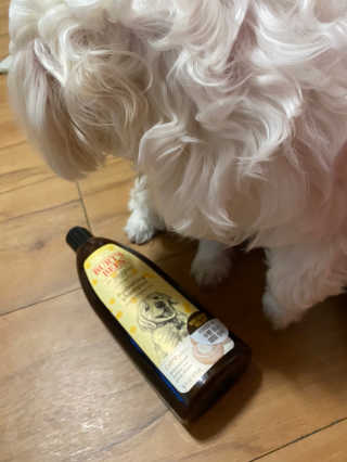 내리소님이 올린 리뷰 사진 2