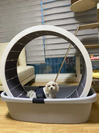 H님이 올린 리뷰 사진 2