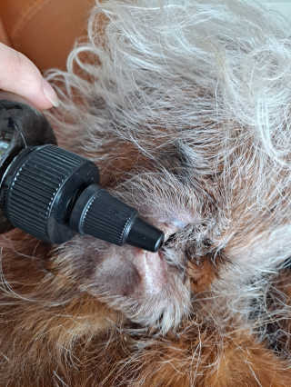 제라늄님이 올린 리뷰 사진 3
