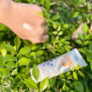 트리티스 SG_[TREATIS] UV Defence Sun Cream — 5점을 준 리뷰어가 2020년 12월 올린 사용 사진
