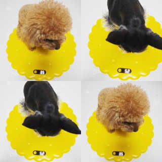 최정임님이 올린 리뷰 사진 1
