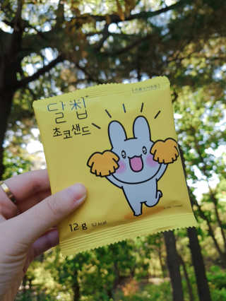 네이처오다 달칩 초코샌드 — 5점을 준 리뷰어가 2020년 10월 올린 사용 사진