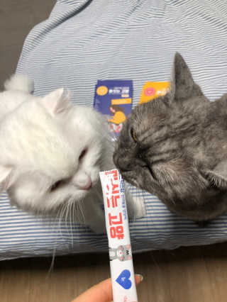 지연님이 올린 리뷰 사진 2