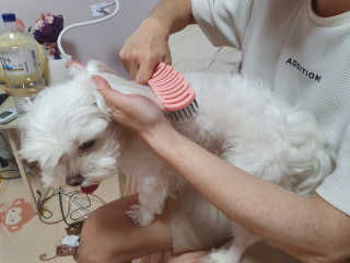 노지혜님이 올린 리뷰 사진 4