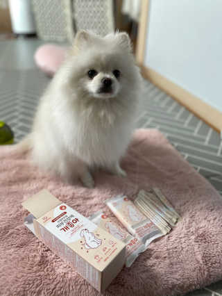 My Pet Care 모발과 모질 피부건강에 개좋아 — 5점을 준 리뷰어가 2020년 11월 올린 사용 사진