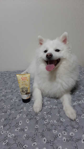 pie_chui님이 올린 리뷰 사진 1