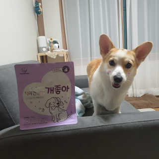 My Pet Care 천연단백질 치아건강에 개좋아 — 5점을 준 리뷰어가 2020년 11월 올린 사용 사진