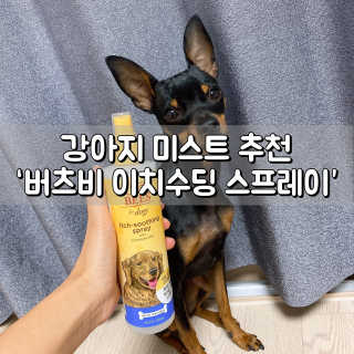 메뤼님이 올린 리뷰 사진 1