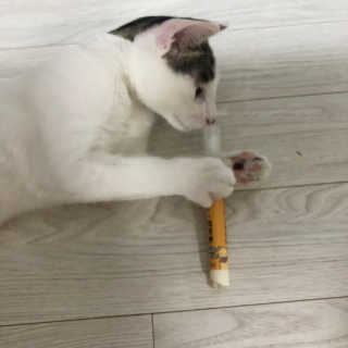 하니님이 올린 리뷰 사진 1