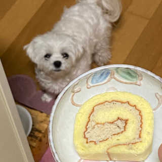린짱님이 올린 리뷰 사진 3