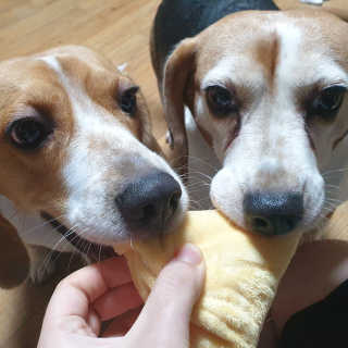 beaglelove님이 올린 리뷰 사진 3