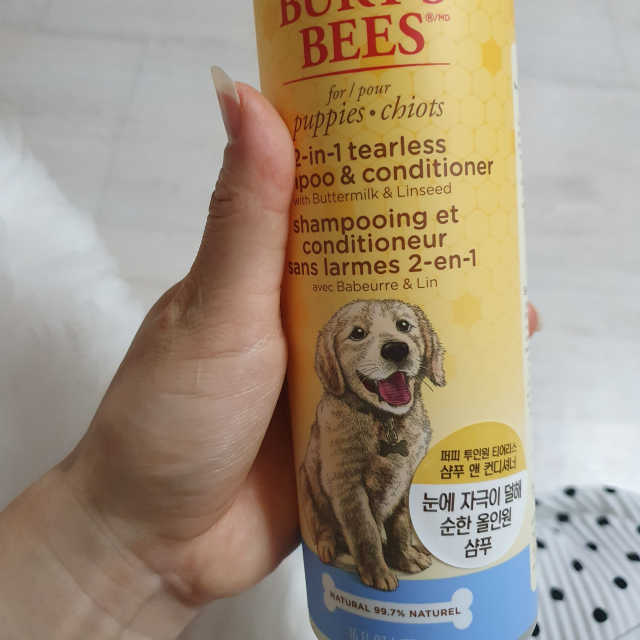 버츠비 퍼피투인원 티어리스 샴푸 앤 컨디셔너 리뷰 사진