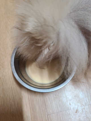 손톱마녀님이 올린 리뷰 사진 2