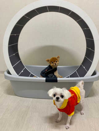 sooa님이 올린 리뷰 사진 2