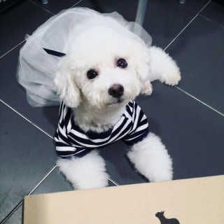 SunmerYang님이 올린 리뷰 사진 1