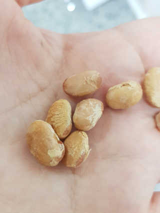 러블님이 올린 리뷰 사진 1