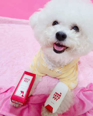 [레드허니밤]자유펫 고양이 강아지 발바닥 밤 14g — 4점을 준 리뷰어가 2020년 7월 올린 사용 사진