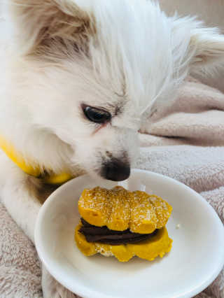Lily님이 올린 리뷰 사진 3