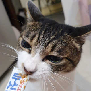 먕아냥해봐님이 올린 리뷰 사진 3