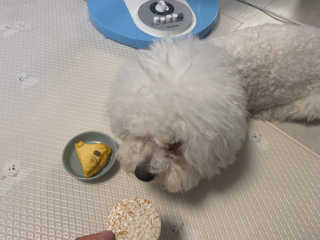 용용맹님이 올린 리뷰 사진 4