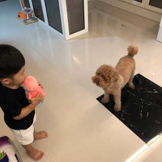 더샵토이 핸드메이드 동물 펭귄 애착 봉제인형 — 5점을 준 리뷰어가 2020년 7월 올린 사용 사진