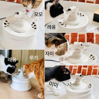 minahjjing님이 올린 리뷰 사진 4