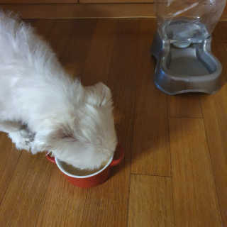 YLEMOM님이 올린 리뷰 사진 4