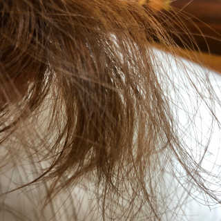 달리프 글램 헤어팩 인미스트 200ml — 5점을 준 리뷰어가 2020년 10월 올린 사용 사진