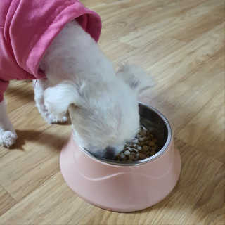 지니이쁘닝님이 올린 리뷰 사진 3