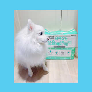 똥비님이 올린 리뷰 사진 2
