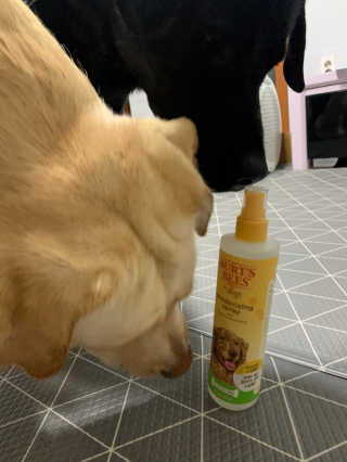 이지닝님이 올린 리뷰 사진 4